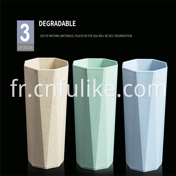 Degradable Cup